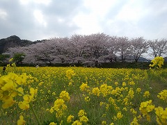 13-0408-2.jpg