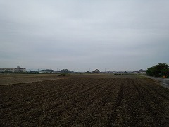 13-0513.jpg