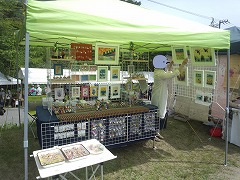 13-0606-3.jpg