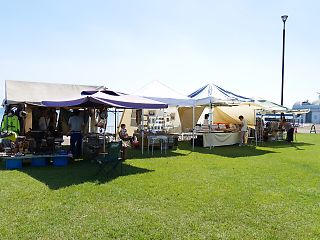 14-0829.jpg